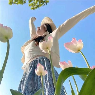 王国：北方的阿信